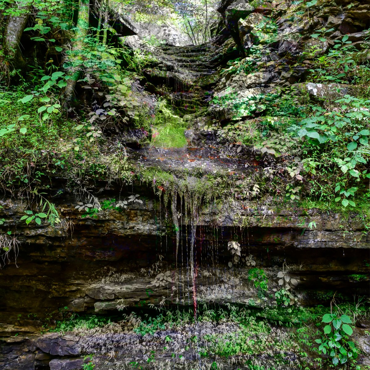 Hiking Devil’s Den State Park in Winslow, Arkansas 