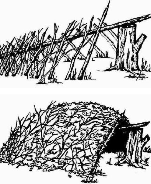  The 3 Easiest Survival Shelters You Should Know About 